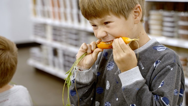 A child tasting a fresh carrot at a CCFE market event