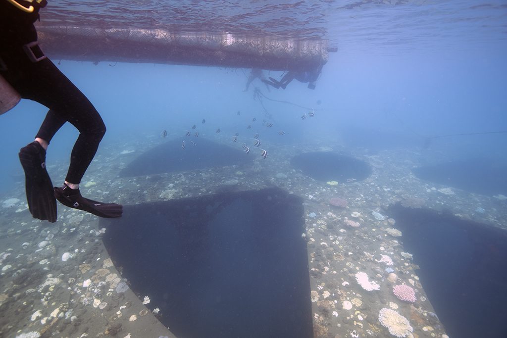 A diver descending toward the reef structure
