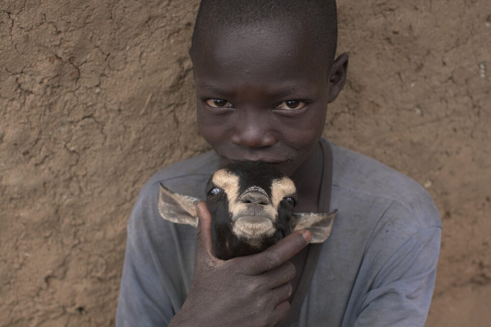 A young boy holding a goat to his face, from the documentary Two Drops of Patience